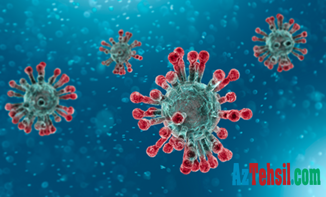 Koronavirusu 20 dəqiqədə müəyyən edən test yaradıldı