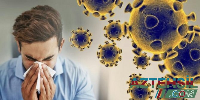 2-3 aydan sonra Azərbaycanda koronavirus yoxa çıxa bilər - Şöbə müdiri AÇIQLADI