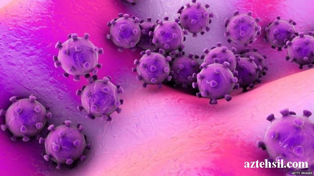 Alman alimləri: “Koronavirus 99,9% laboratoriyada yaradılıb”