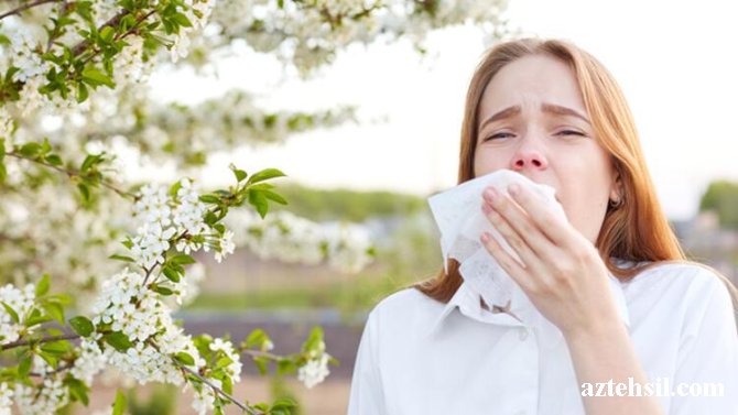 Pollinoz - Yaz allergiyasına qarşı təbii çarə