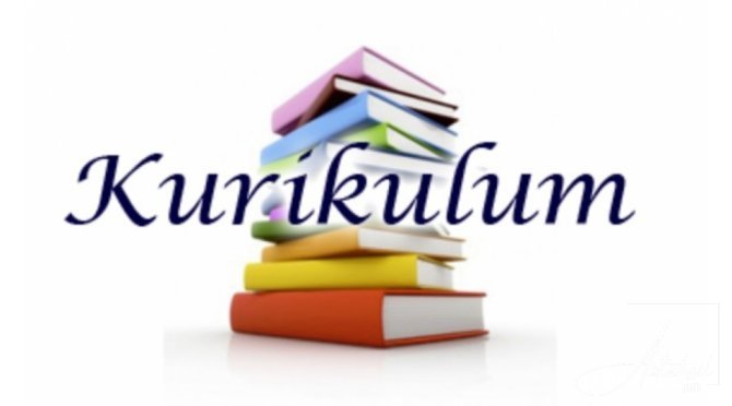 “Kurikuluma “yox” deyək?”