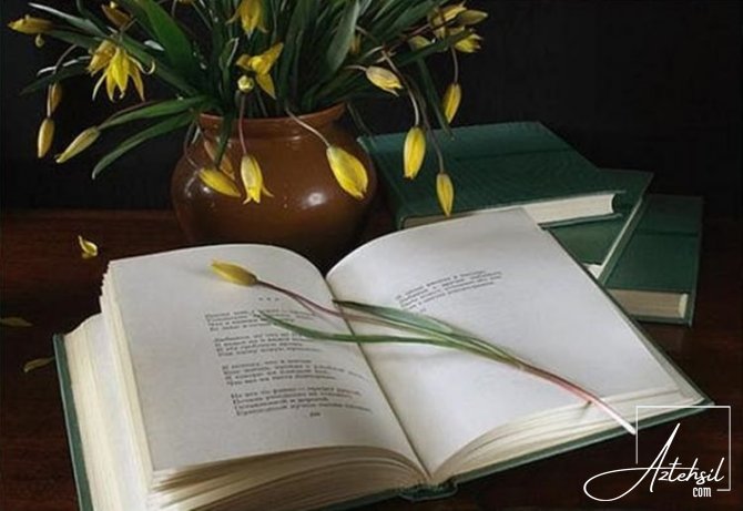 Dünya Poeziya Günü