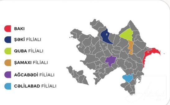 Pedaqoji ixtisaslara ayrılan plan yerləri bu qədərdir