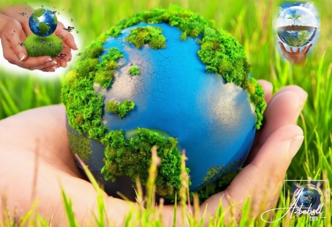 2030-cu ilədək ətraf mühit savadlılığına dair  təcrübə bazası yaradılacaq