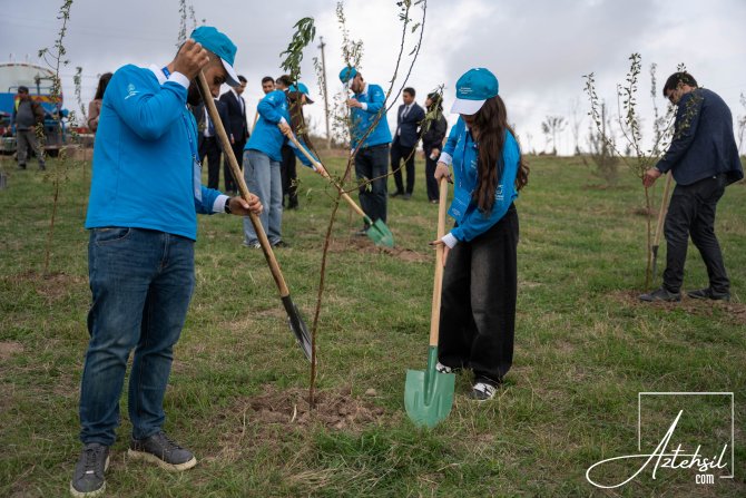 “Mənəvi dəyərlər həftəsi” çərçivəsində Xocalıda ağacəkmə aksiyası keçirilib